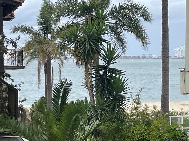 View from Living room - 1812 E Ocean Blvd