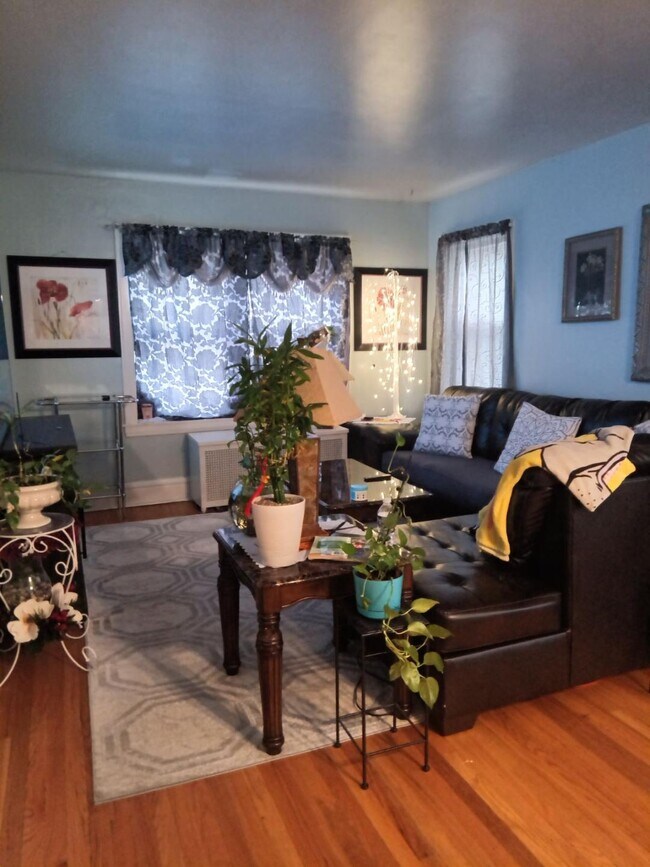 Living Room - 3701 Highland Ave