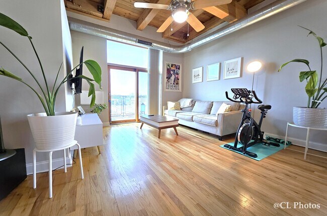 Foto del edificio - 500 N Damen Ave