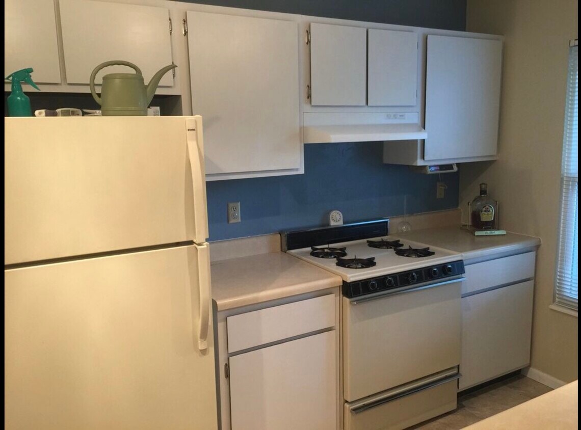 Painted and clean kitchen. New Stove. New Dishwasher. - 144 Bracadale Ave