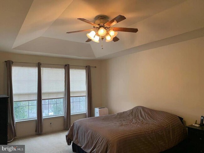 Foto del edificio - 175 Fringetree Dr