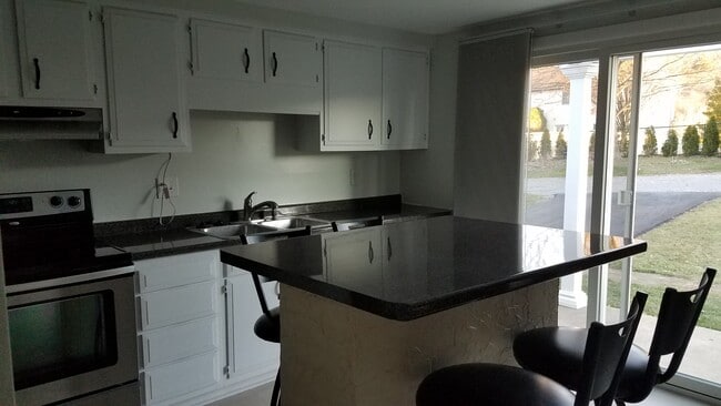 Vista de la cocina al patio - 605 Peach View Ln