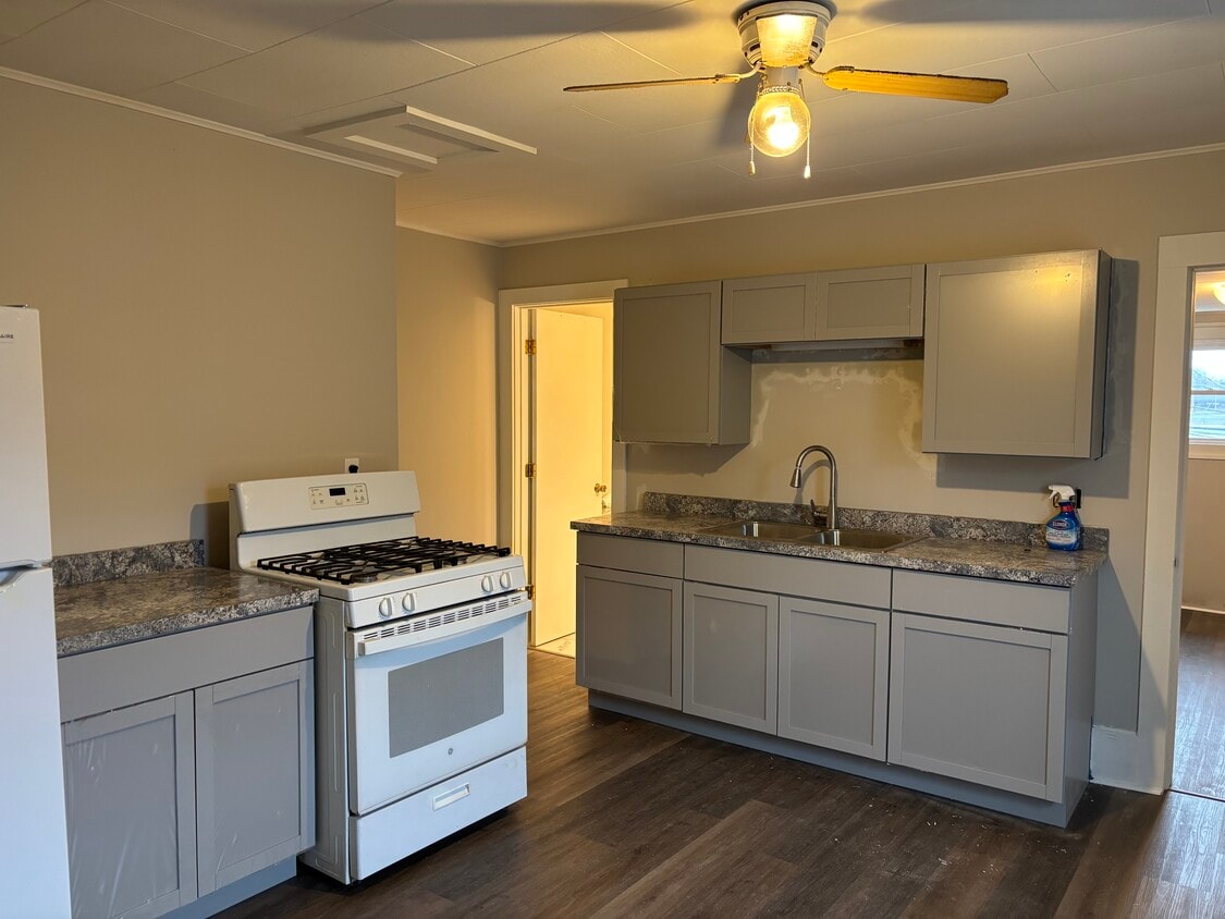 Updated Kitchen - 242 S Main St (Eaton Rapids, MI)