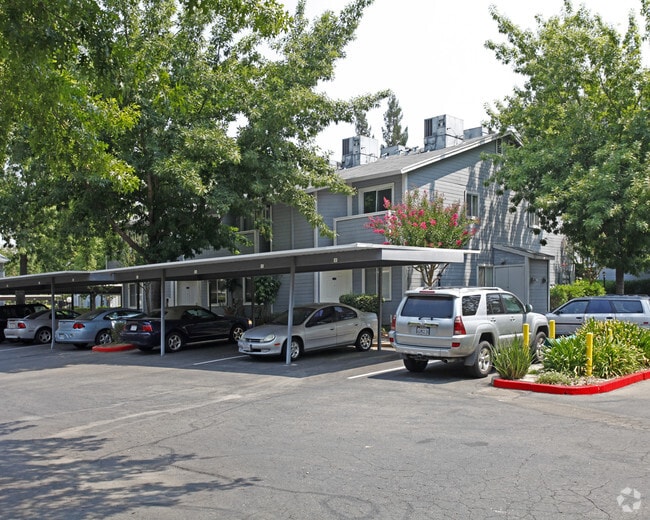Parking Area - Myrtle Creek Apartments