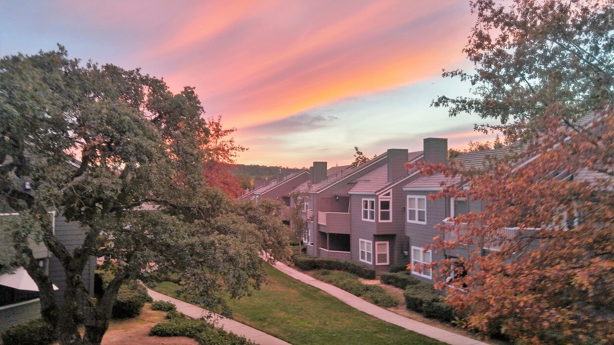 Granite Creek Apartments Apartments in Rocklin, CA