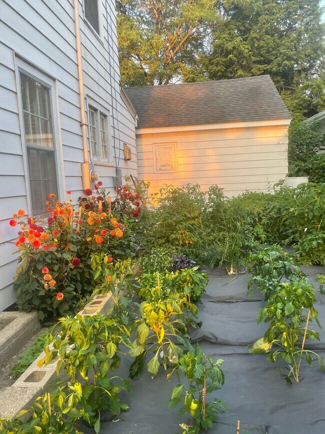 Foto del edificio - Maple Bluff House