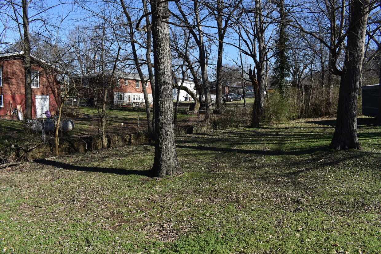Spacious back yard with mature trees - 610 River Rouge Dr