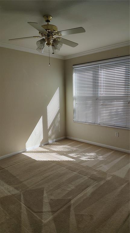 Foto del edificio - 505 Hockendale Cove