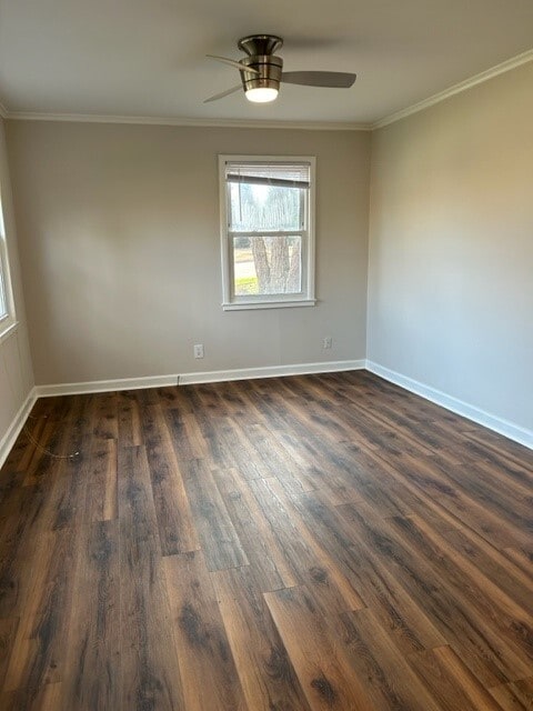 Living Room - 825 Daniels St