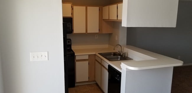 Kitchen - Springlake Apartments