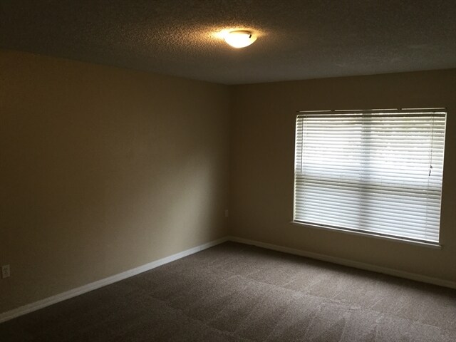 Foto del edificio - 11576 Whisperingbrook Ln