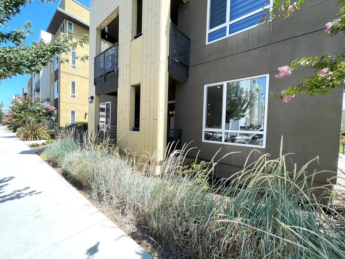 Primary Photo - Beautiful Custom 3 Bedroom 2 Bath in Metro...