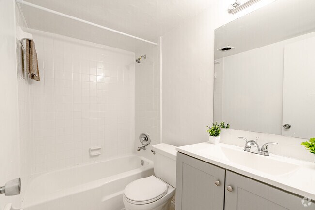 1BR, 1BA - 625SF - The Oasis by RAM Apartments