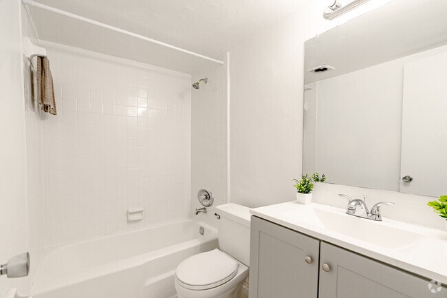 1BR, 1BA - 625SF - The Oasis by RAM Apartments