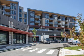 Building Photo - 1500 Scott Cres