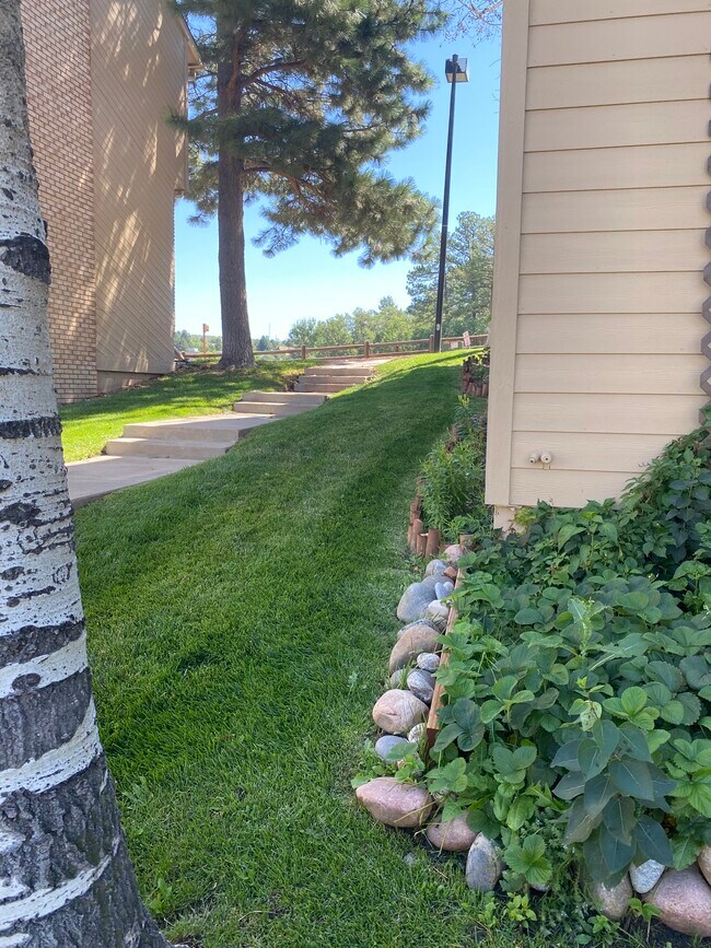 Corner unit, view of space between buildings and garden bed - 250 S Oman Rd