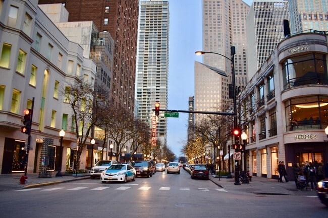 Building Photo - 777 N Michigan Ave