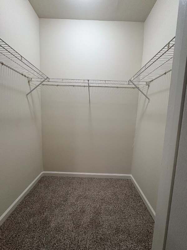 Foto del edificio - 1005 Weybridge Ct