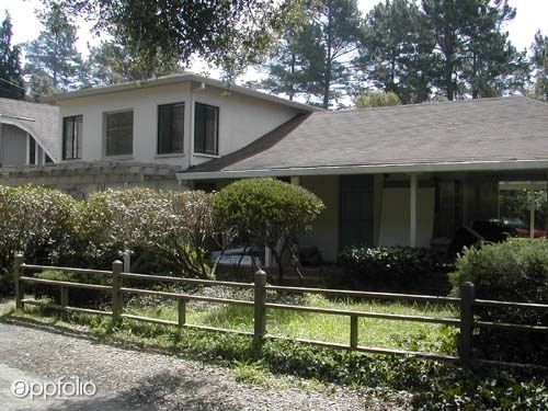Primary Photo - 955 Pinetree Ln