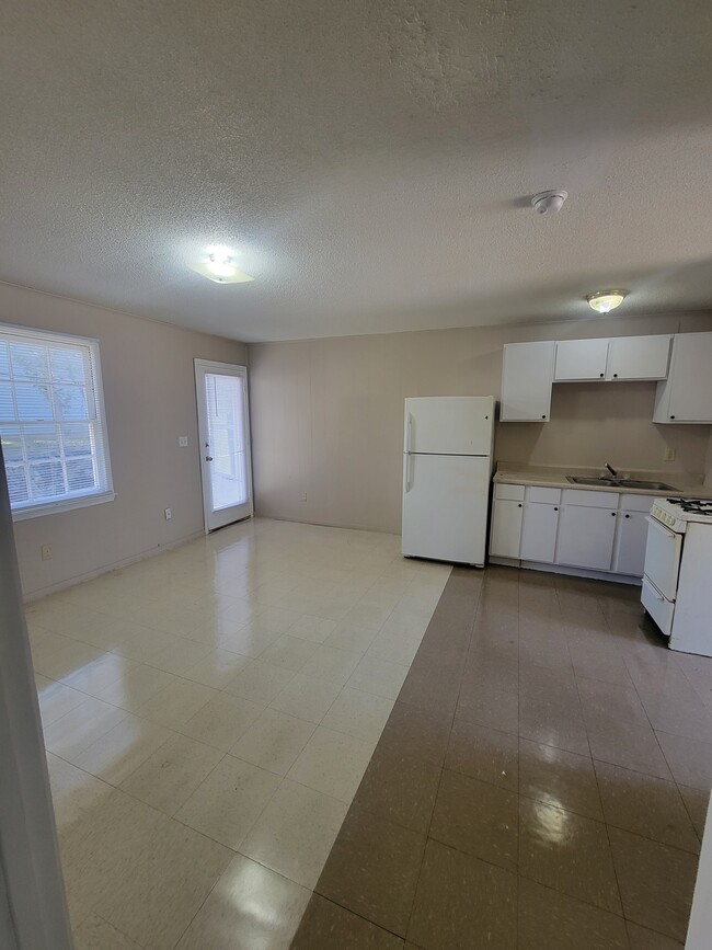 Living Room/Kitchen - 390 N King St