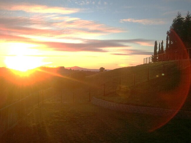 Backyard View - 2719 Thomas Ct