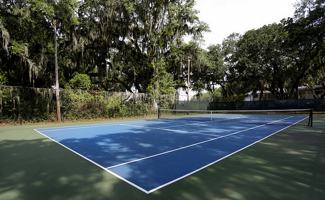 Cancha de Pickle Ball - Odyssey at Amelia Island