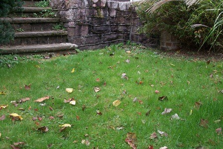 Foto del edificio - 305 N 6th St