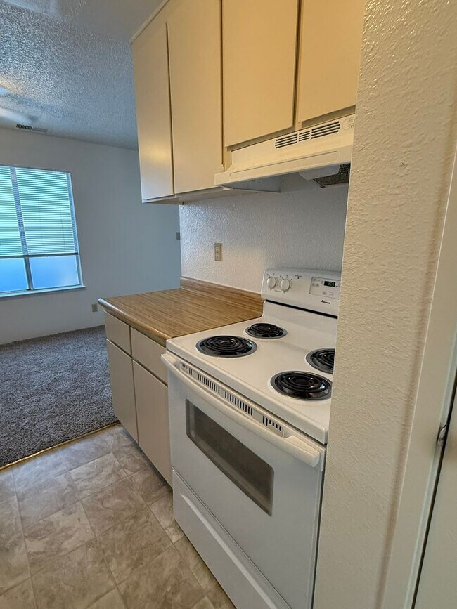 Building Photo - 1553 Delucchi Ln