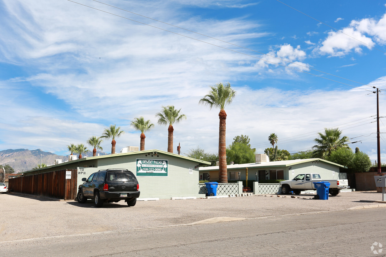 Primary Photo - Desert palms