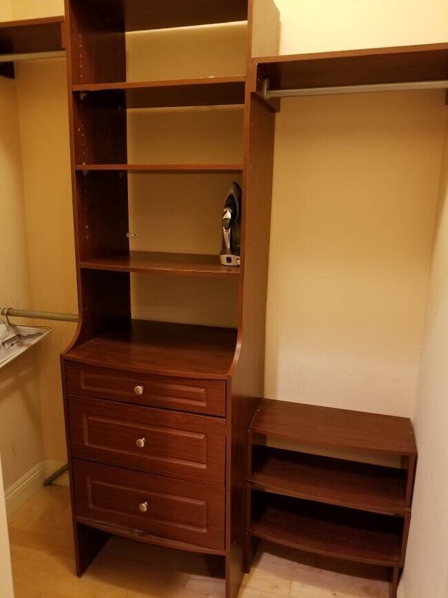 Walk-in closet - 117 N Gale Dr