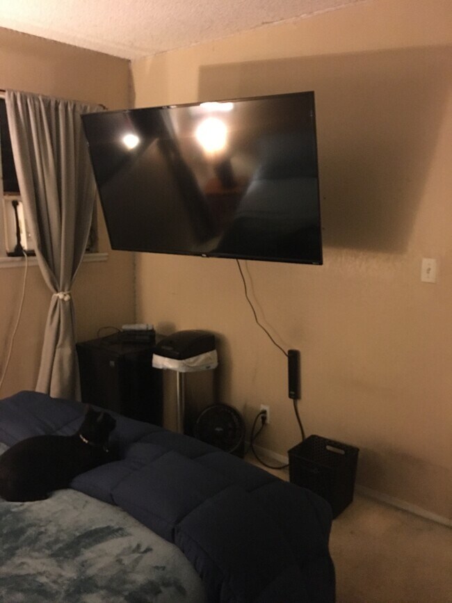 47169 Hui Akepa Plz, Kaneohe, HI 96744 Townhouse for Rent in Kaneohe