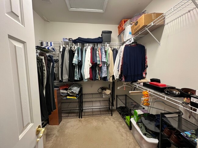 Walk-in closet - 132 Zinnia Dr