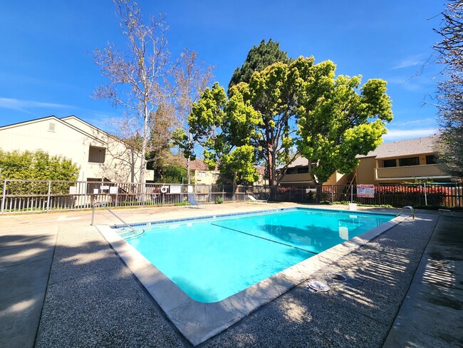 Foto del edificio - 1 Bedroom 1 Bath Remodeled Condo Available...