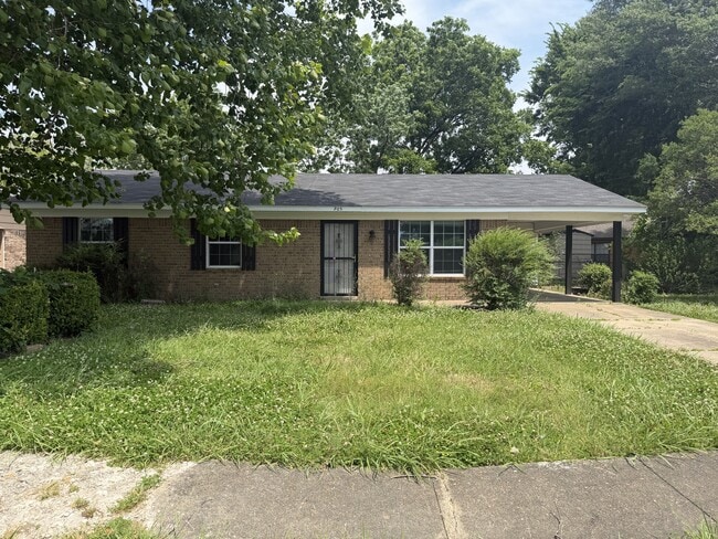 Photo - 905 Maple Dr House