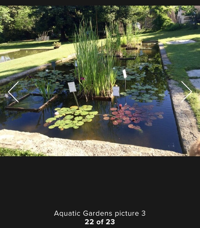 Aquatic Gardens - 1313 45th Pl NE