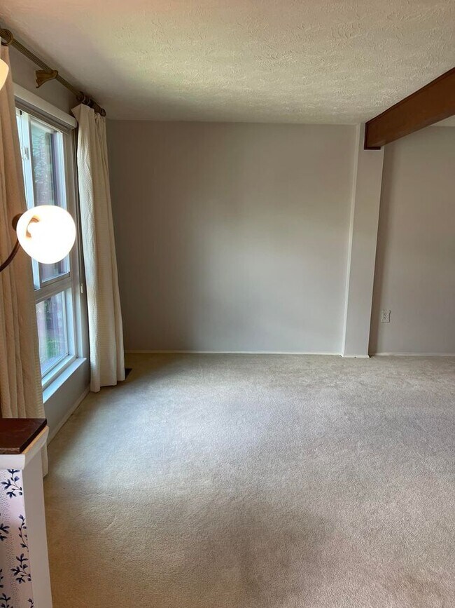 Living room - 932 Mill Ct