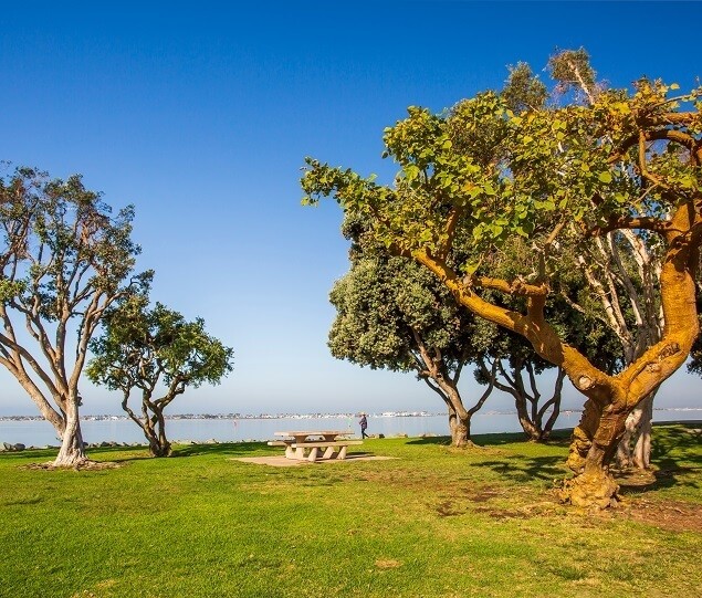Bayside Park provides great views along with picnic areas, hiking trails and a fishing pier