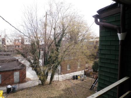 Foto del edificio - 3121 Guilford Ave