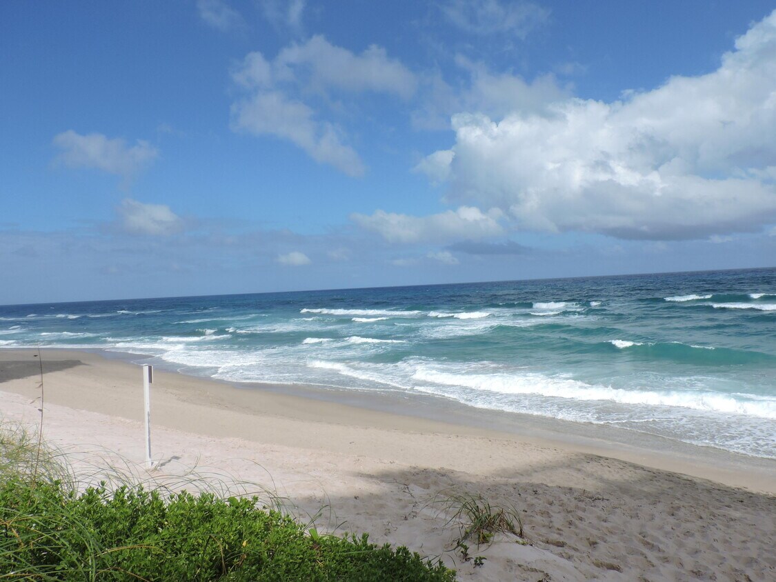 Primary Photo - 5380 N Ocean Dr