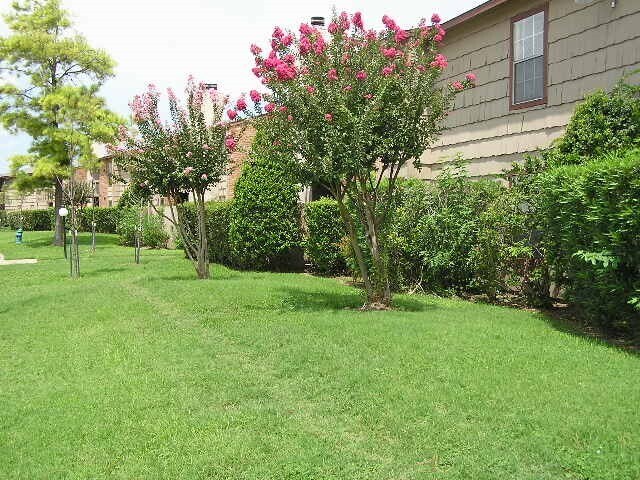 Foto principal - 9101 Country Creek St