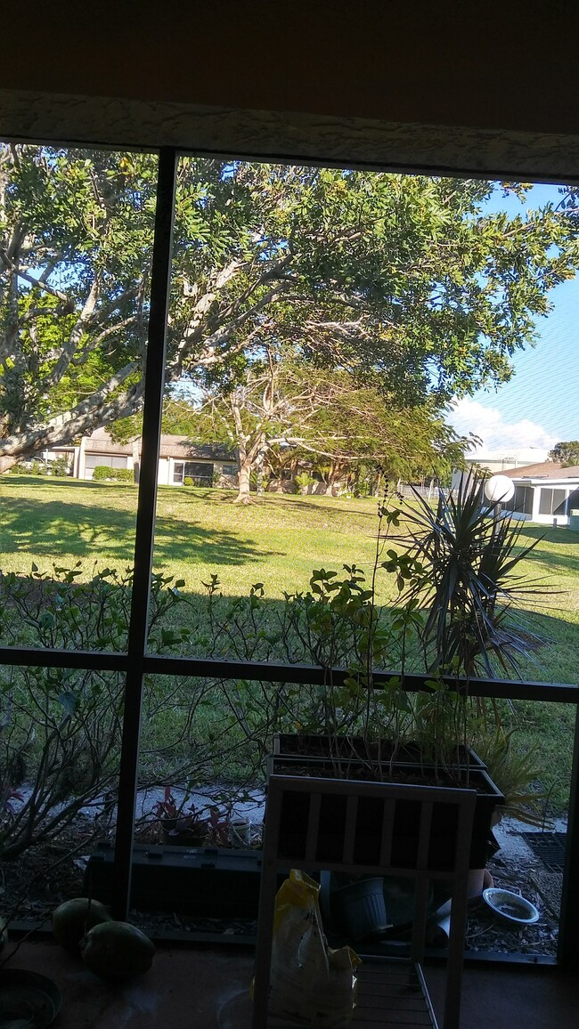 View of backyard from new screen-in lanai - 9307 Lennex Ln