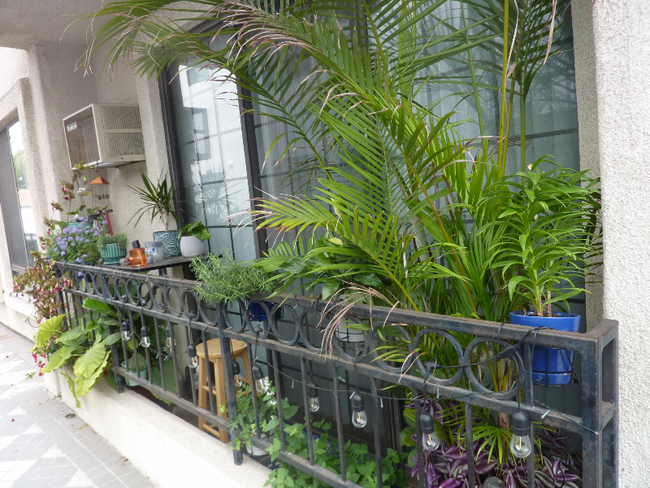 Foto del edificio - 3648 Motor Ave