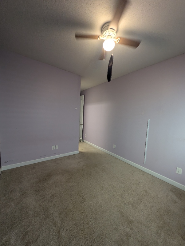 Building Photo - 4314 Connestee Ct