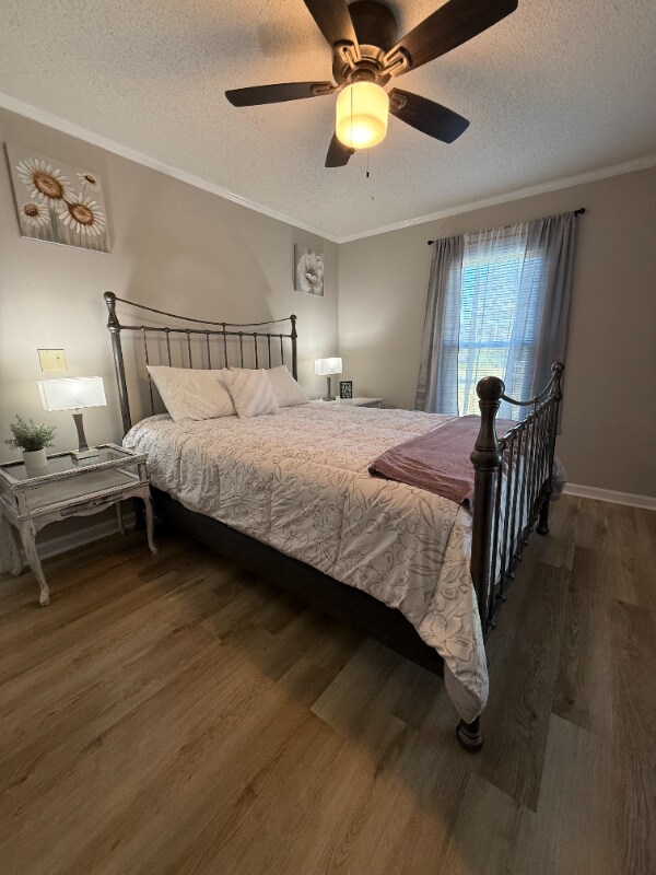 Foto del edificio - 234 Robbins Rd