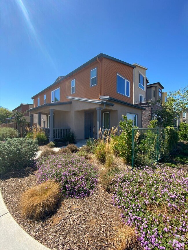 El Macero Park Houses for Rent Davis, CA 3 Homes