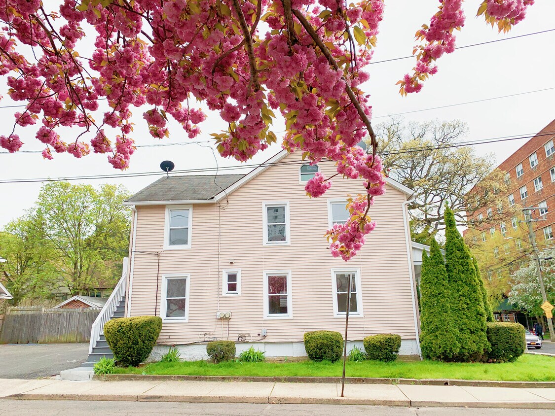 Primary Photo - 149 Grove St