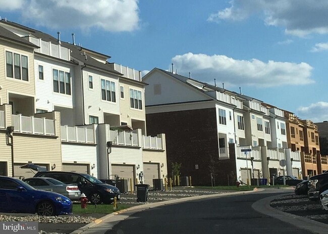 Building Photo - 22591 Amendola Terrace