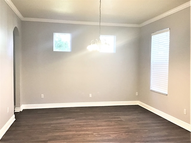 Building Photo - 3508 Tern Hollow