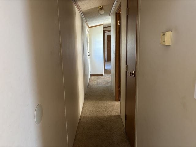 Building Photo - 848 Birchwood Dr
