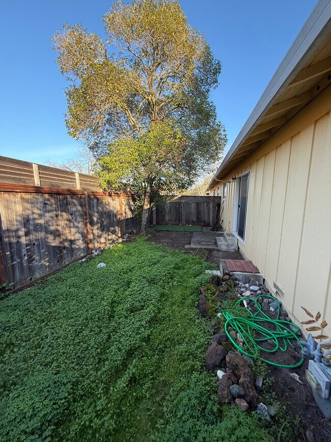 Building Photo - 1240 Martha Way